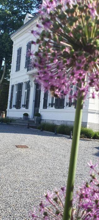 Chambres D'Hotes Des Rouets Fourmies エクステリア 写真